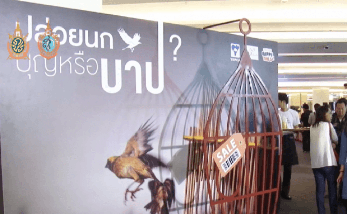 เปิดตัวหนังสั้น”ปล่อยนก บุญหรือบาป”