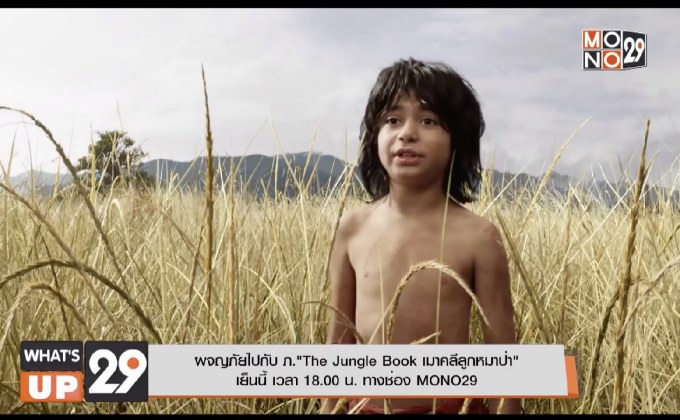 ผจญภัยไปกับ ภ.“The Jungle Book เมาคลีลูกหมาป่า” เย็นนี้ เวลา 18.00 น. ทางช่อง MONO29