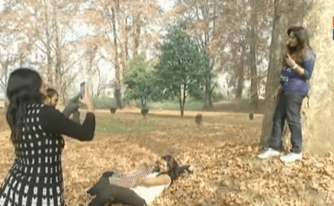 นักท่องเที่ยวแห่ชมใบไม้สีทองในอินเดีย