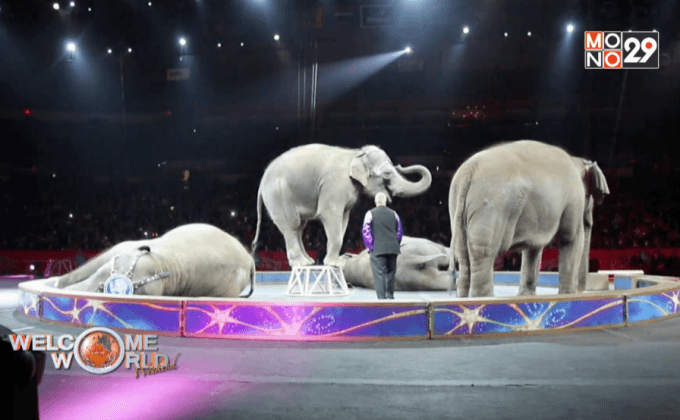 คณะละครสัตว์สหรัฐฯยกเลิกการแสดงช้าง