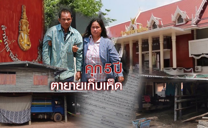 คุก 5 ปี ตายายเก็บเห็ด