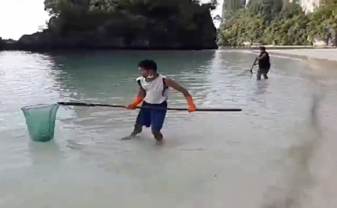 อุทยานฯ ธารโบกขรณี เตือนอันตรายแมงกะพรุนแดง