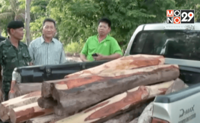 บุกจับขบวนการแปรรูปไม้พะยูง