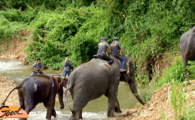 จับตากลุ่มป่าแก่งกระจานสู่มรดกโลก ตอน 1