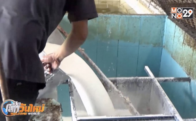 ผลกระทบราคายางพาราลดลงต่อเนื่อง จ.ตรัง