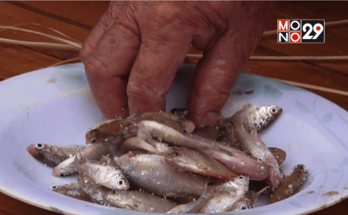 โรคพยาธิใบไม้ตับ ป้องกันได้