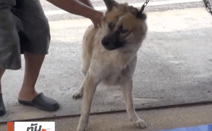 รมว.เกษตรฯ ปัดย้ายอธิบดีกรมปศุสัตว์ ปมวัคซีนปลอม