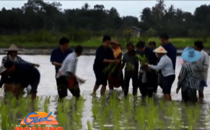 อดีตนายกฯ ลงแขกดำนา