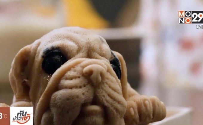 ร้านอาหารไต้หวันจำหน่ายไอศกรีมรูป “ลูกสุนัข”