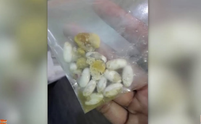 ส่งยาในกระเพาะสุนัขตรวจพิสูจน์คาดใช้เวลา 30 วัน