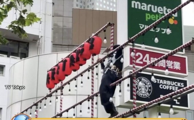 ประมวลความเสียหาย ฤทธิ์ไต้ฝุ่น ‘ฟ้าใส’ ถล่มโตเกียว