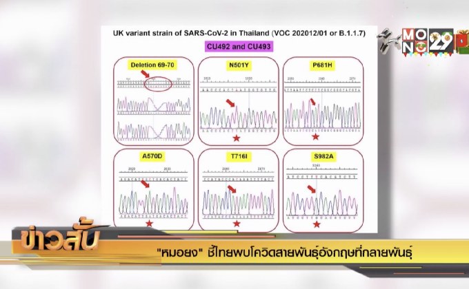 “หมอยง” ชี้ไทยพบโควิดสายพันธุ์อังกฤษที่กลายพันธุ์
