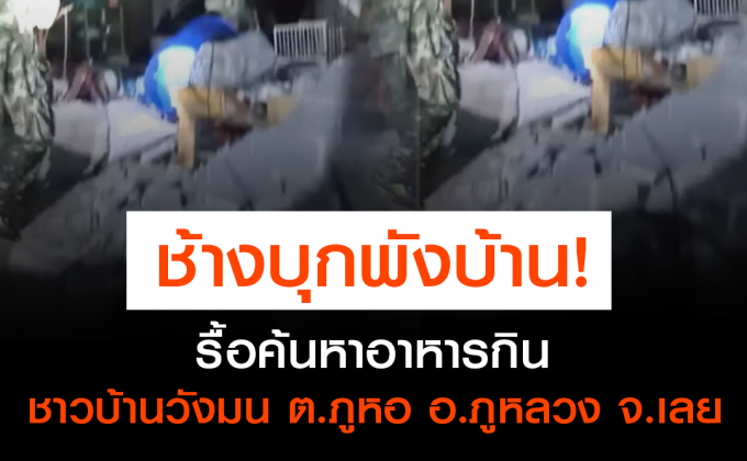 ชาวบ้านวังมน ต.ภูหอ อ.ภูหลวง จ.เลย ผวา ช้างป่าภูหลวง 4-5 ตัว บุกพังบ้านพักกลางดึก รื้อค้นหาอาหารกิน