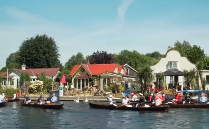 อังกฤษเริ่มนับหงส์ในแม่น้ำเทมส์