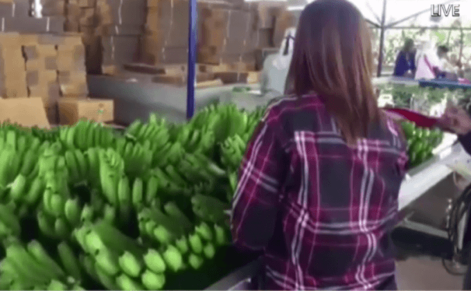 ตรวจพบคนงานสวนกล้วยจีนมีสารเคมีตกค้างในเลือด