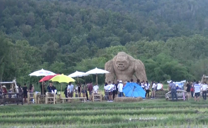 แห่แชะภาพคู่คิงคองยักษ์กลางทุ่งนา