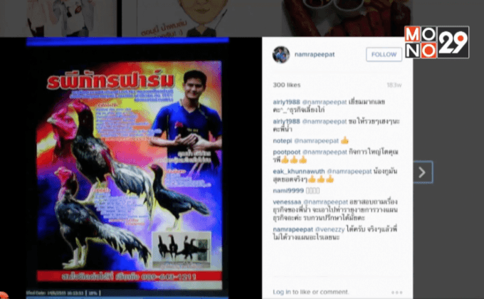 “น้ำ-รพีภัทร” ผุดธุรกิจฟาร์มไก่ชน