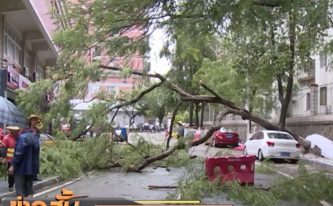 ไต้ฝุ่นไป๋ลู่พัดเข้าถล่มพื้นที่ทางตะวันออกจีน