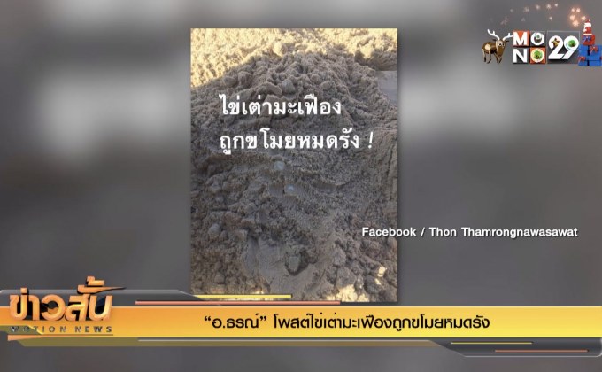 “อ.ธรณ์” โพสต์ไข่เต่ามะเฟืองถูกขโมยหมดรัง