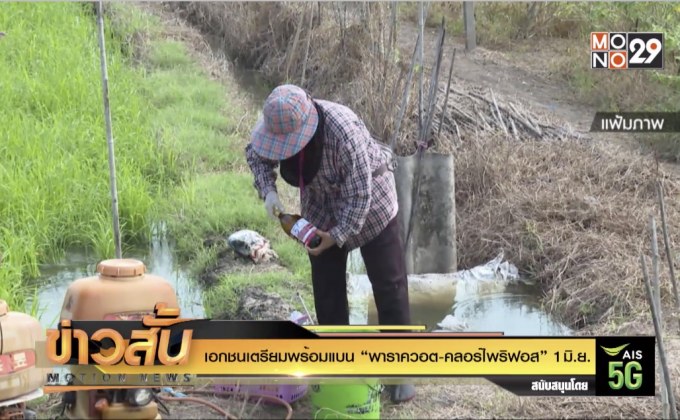เอกชนเตรียมพร้อมแบน “พาราควอต-คลอร์ไพริฟอส”1 มิ.ย.