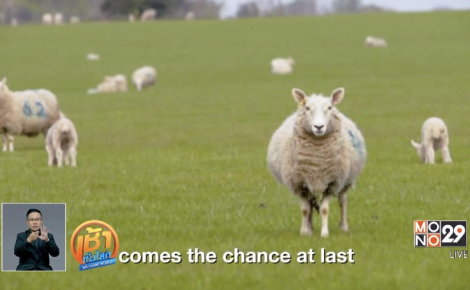 เปิดตัว “Baa Baa Land” หนังเพื่อคนนอนไม่หลับ