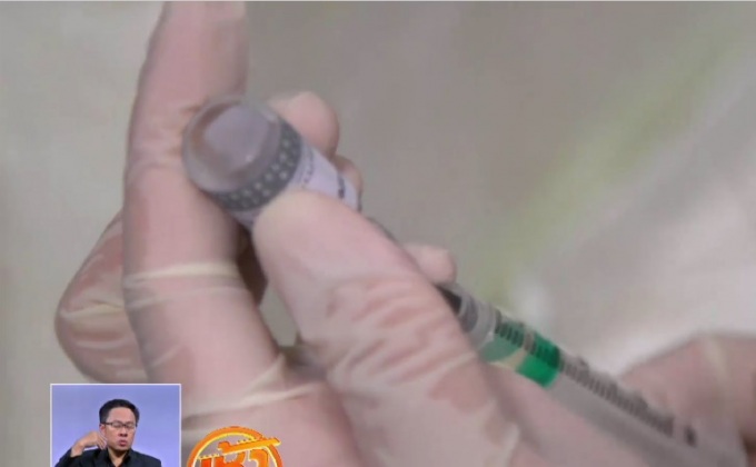 บราซิลเตือนไวรัสไข้เหลืองระบาด