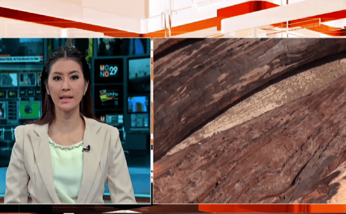 หนองคายตรวจยึดไม้พะยูง 127 ท่อน