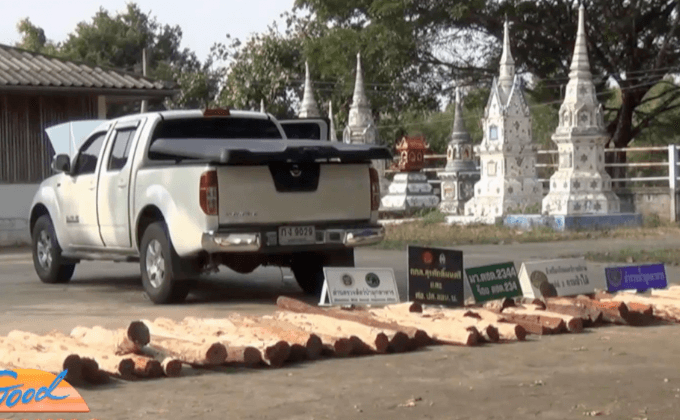 จับไม้พะยูงเตรียมส่งขายประเทศเพื่อนบ้าน