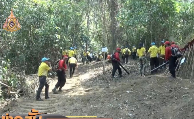 ฟื้นสภาพป่าดอยเชียงดาวหลังถูกไฟไหม้