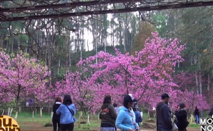 บรรยากาศการท่องเที่ยวเริ่มคึกคัก