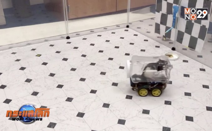 นักวิทยาศาสตร์ฝึกหนูทดลองขับรถ