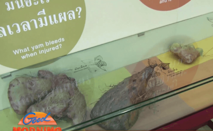 พิพิธภัณฑ์การเกษตร แหล่งเรียนรู้เพื่อคนรักเกษตร