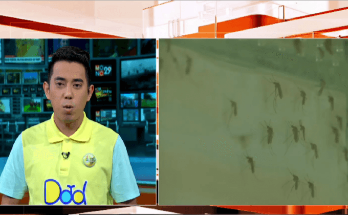 สถานการณ์ไข้เลือดออกระบาดหนักช่วงนี้