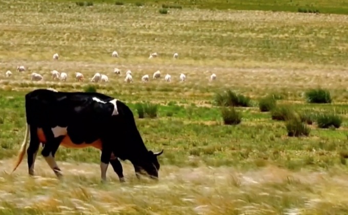 “เขตมองโกเลียในจีน” มุ่งพัฒนา “เมืองสีเขียว”