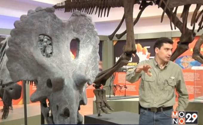 พบไดโนเสาร์สายพันธุ์ใหม่ในเม็กซิโก