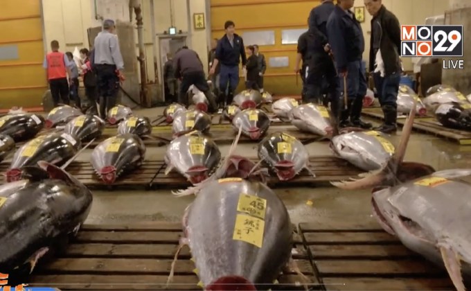 ตลาดปลาสึคิจิ เปิดประมูลปลาเป็นวันสุดท้าย