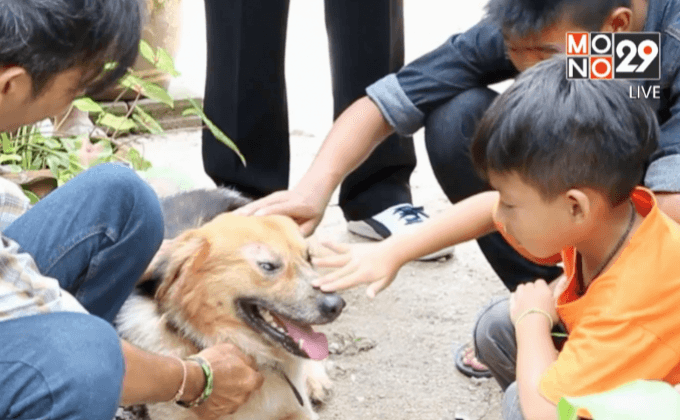 สุดซึ้ง! สุนัขซื่อสัตย์ เจ้าของมารับกลับบ้านแล้ว