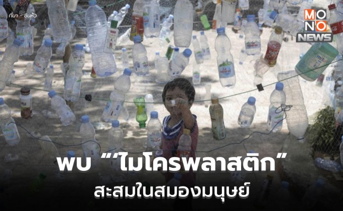 นักวิทย์พบ ‘ไมโครพลาสติก’ สะสมลึกในสมองมนุษย์