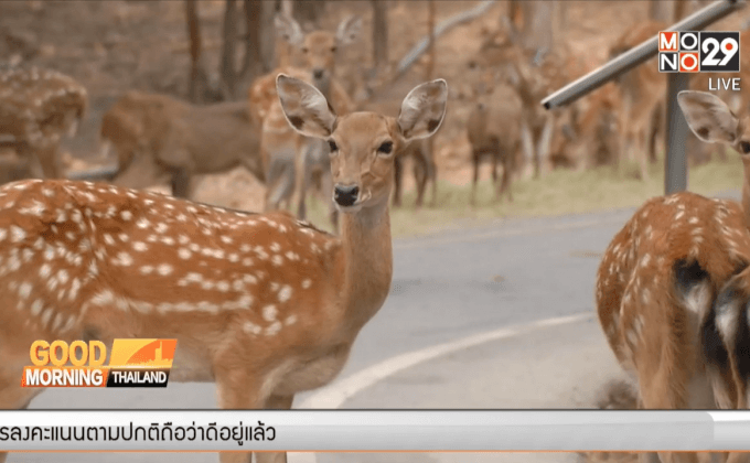 สั่งปิดสวนสัตว์เขาสวนกวาง 5 วัน