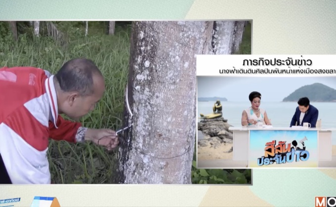 ชาวสวนปรับเวลากรีดยาง เลี่ยงผลกระทบจากฤดูฝน