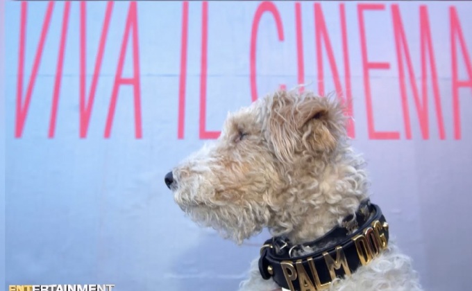 Palm Dog Awards รางวัลแด่เจ้าตูบในเทศกาลหนังเมืองคานส์