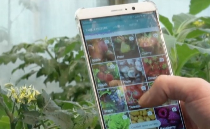 เยอรมนีพัฒนาแอปฯ ตรวจโรคในพืช