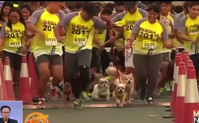งานวิ่งสุนัขในฟิลิปปินส์