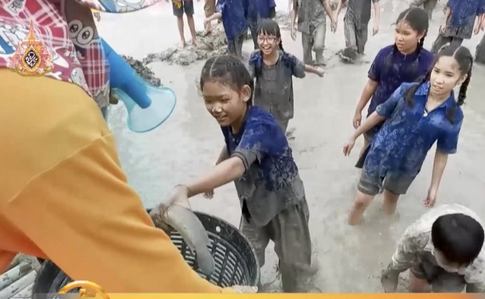 ลุยโคลนแข่งจับปลาช่อนกลางทุ่งนา