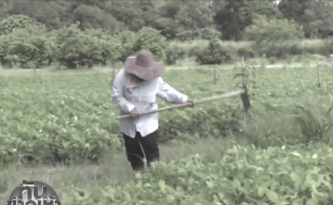 แนวคิดเศรษฐกิจพอเพียงสร้างรายได้ให้ชุมชน