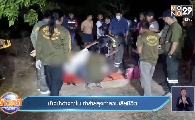 ช้างป่าอ่างฤาไน ทำร้ายลุงทำสวนเสียชีวิต