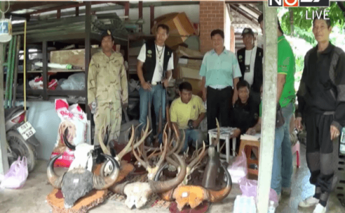 บุกจับลอบเลี้ยงสัตว์ป่าคุ้มครอง จ.อ่างทอง