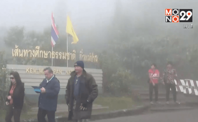 นักท่องเที่ยวแห่ดูเหมยขาบดอยอินทนนท์