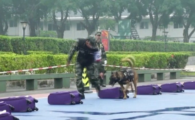 การแข่งขันสุนัขทหารในจีน