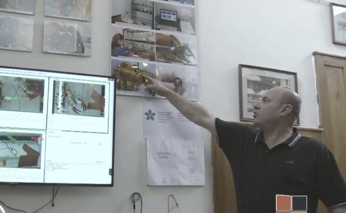 ระบบวัดความบริสุทธิ์ของน้ำด้วย “กุ้งเครย์ฟิช”